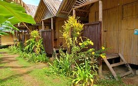 Banana Grove El Nido