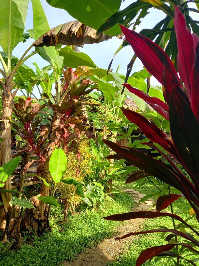 Banana Grove El Nido Hotel Exterior photo